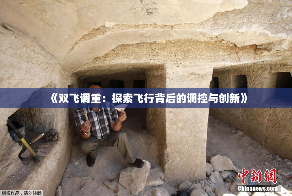 《双飞调重：探索飞行背后的调控与创新》