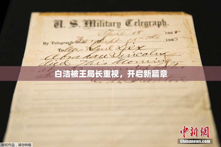 白洁被王局长重视，开启新篇章