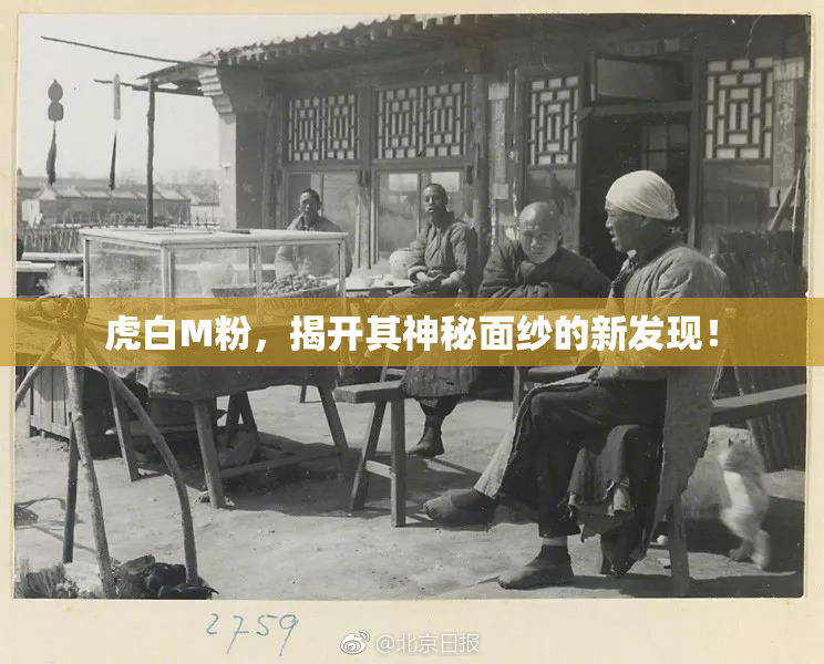 虎白M粉，揭开其神秘面纱的新发现！