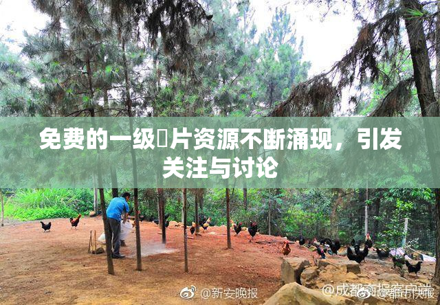 免费的一级婬片资源不断涌现，引发关注与讨论