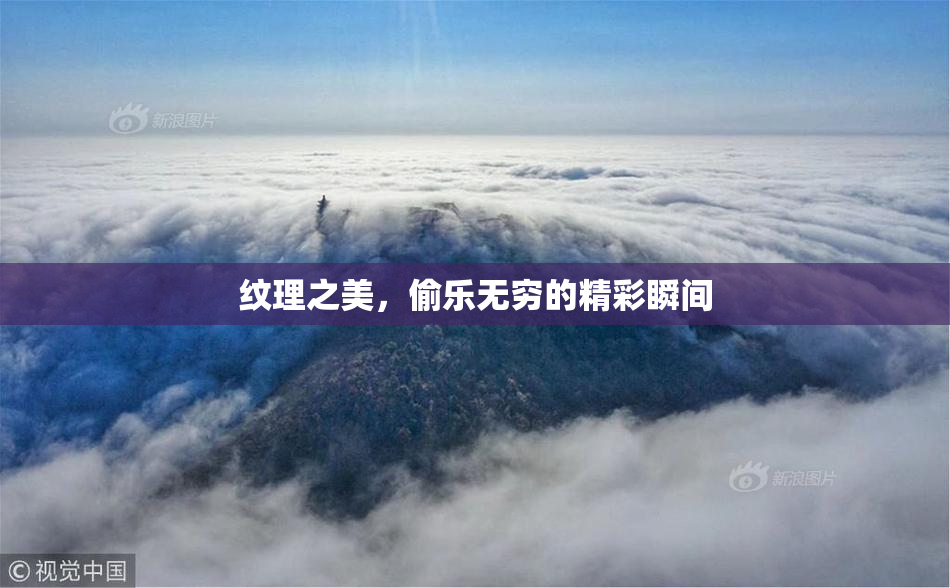 纹理之美，偷乐无穷的精彩瞬间