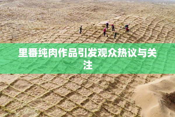 里番纯肉作品引发观众热议与关注
