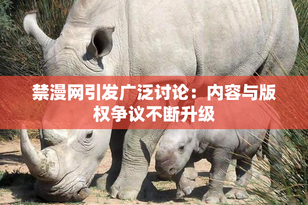 禁漫网引发广泛讨论：内容与版权争议不断升级