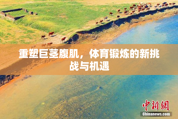 重塑巨茎腹肌，体育锻炼的新挑战与机遇