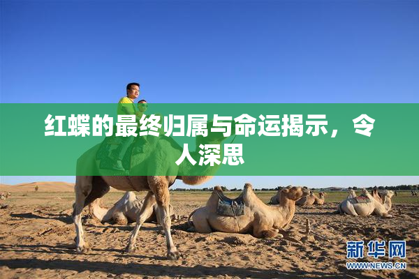 红蝶的最终归属与命运揭示，令人深思