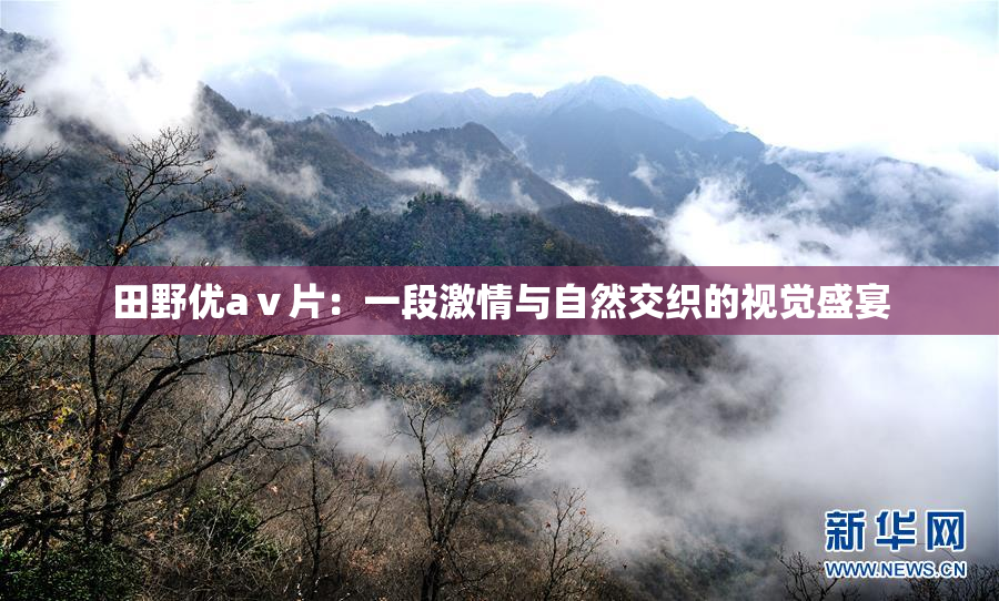 田野优aⅴ片：一段激情与自然交织的视觉盛宴