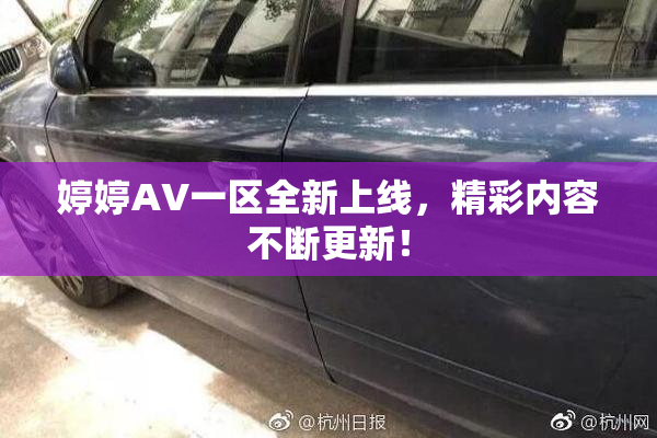 婷婷AV一区全新上线，精彩内容不断更新！