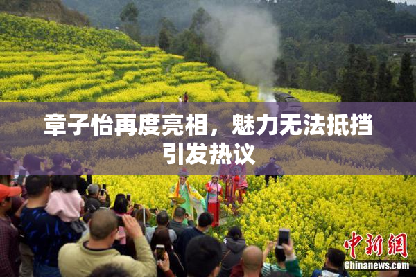 章子怡再度亮相，魅力无法抵挡引发热议