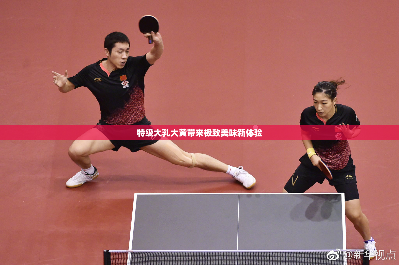 特级大乳大黄带来极致美味新体验