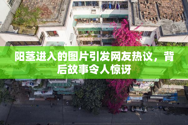 阳茎进入的图片引发网友热议，背后故事令人惊讶