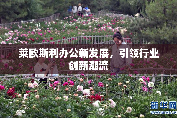 莱欧斯利办公新发展，引领行业创新潮流