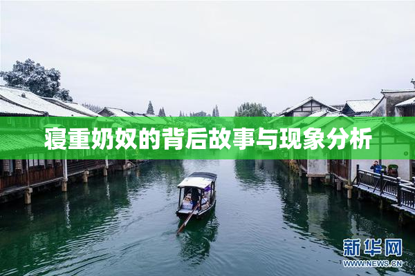 寝重奶奴的背后故事与现象分析