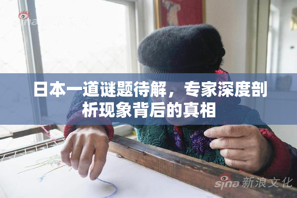 日本一道谜题待解，专家深度剖析现象背后的真相