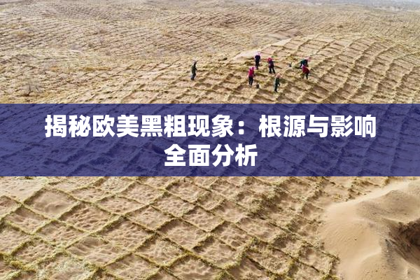 揭秘欧美黑粗现象：根源与影响全面分析