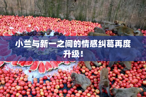 小兰与新一之间的情感纠葛再度升级！