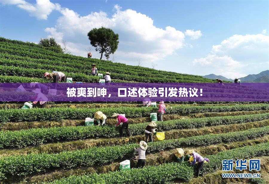 被爽到呻，口述体验引发热议！