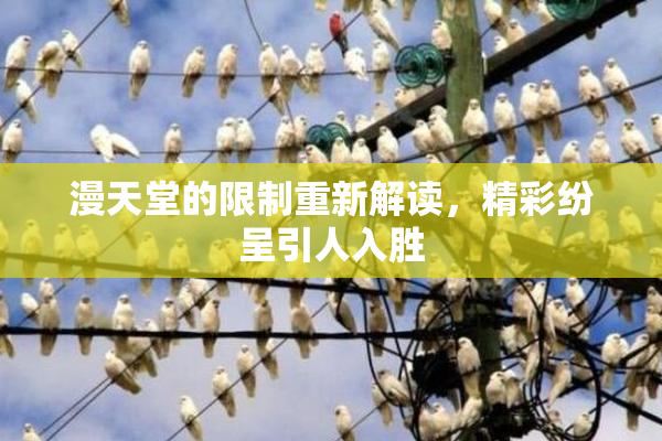 漫天堂的限制重新解读，精彩纷呈引人入胜