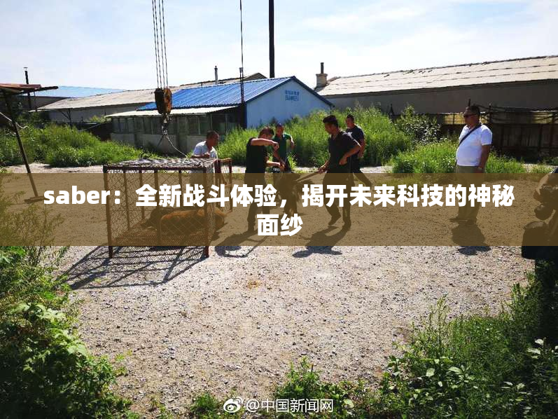 saber：全新战斗体验，揭开未来科技的神秘面纱