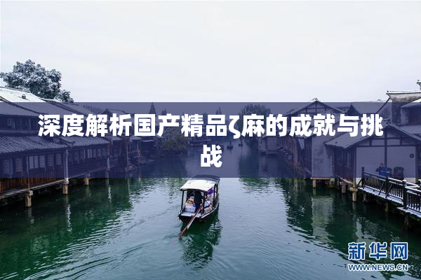 深度解析国产精品ζ麻的成就与挑战