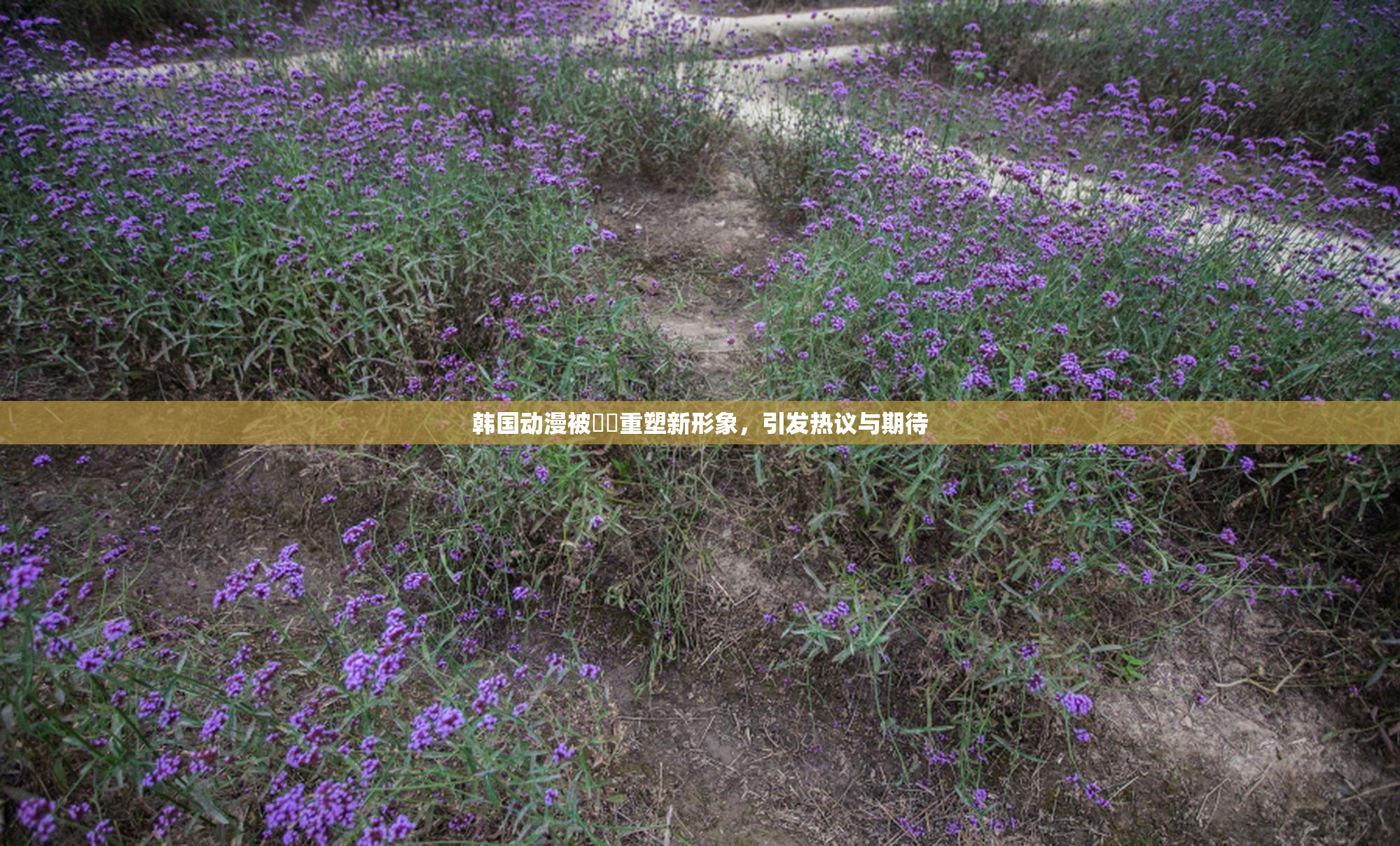 韩国动漫被❌‌重塑新形象，引发热议与期待
