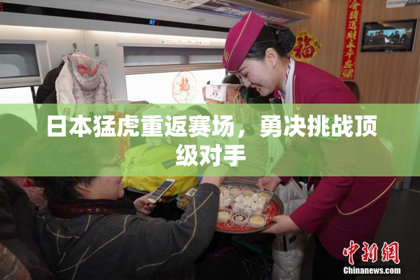 日本猛虎重返赛场，勇决挑战顶级对手