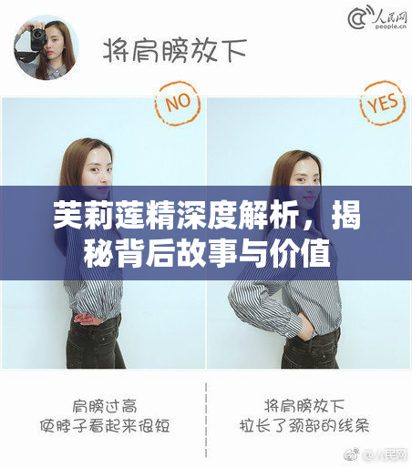 芙莉莲精深度解析，揭秘背后故事与价值