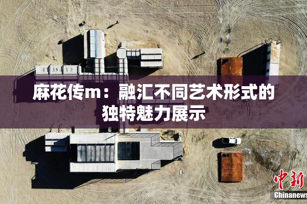 麻花传m：融汇不同艺术形式的独特魅力展示