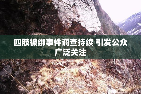 四肢被绑事件调查持续 引发公众广泛关注