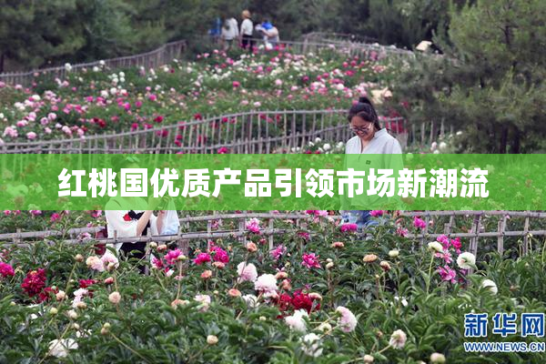 红桃国优质产品引领市场新潮流