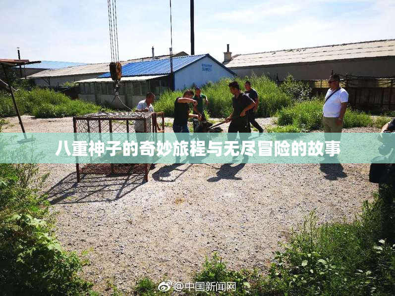 八重神子的奇妙旅程与无尽冒险的故事