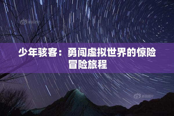 少年骇客：勇闯虚拟世界的惊险冒险旅程