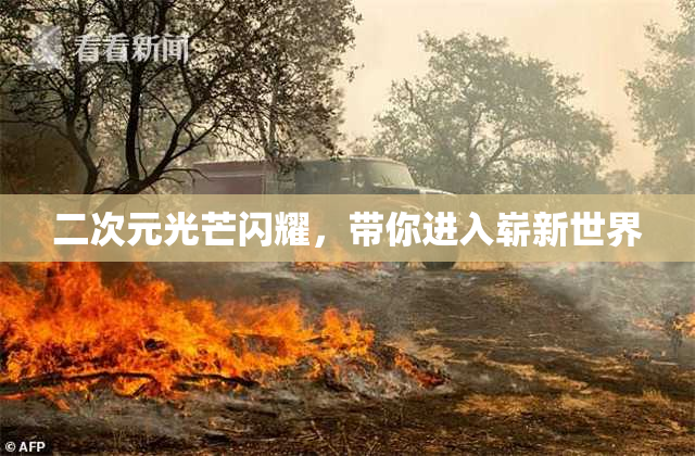 二次元光芒闪耀，带你进入崭新世界