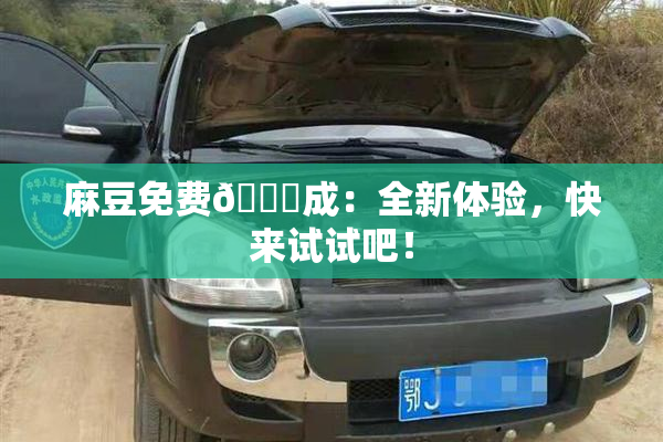 麻豆免费🔞成：全新体验，快来试试吧！