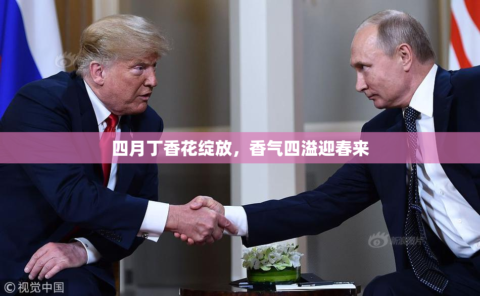 四月丁香花绽放，香气四溢迎春来