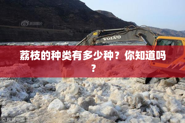 荔枝的种类有多少种？你知道吗？