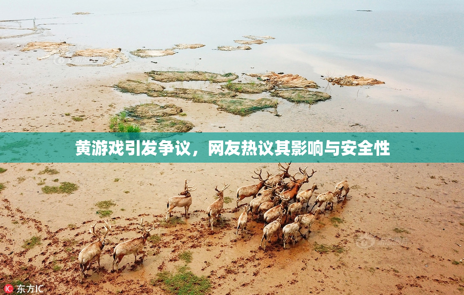 黄游戏引发争议，网友热议其影响与安全性