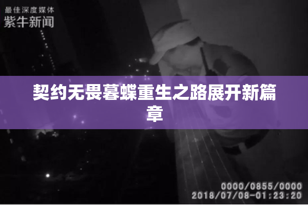 契约无畏暮蝶重生之路展开新篇章
