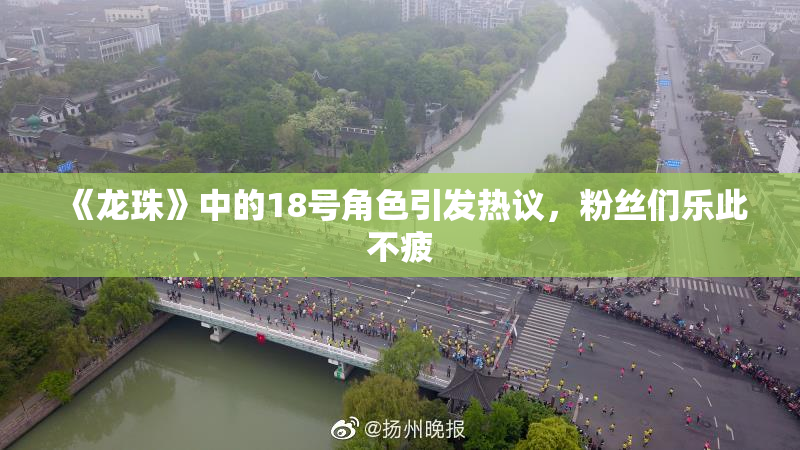 《龙珠》中的18号角色引发热议，粉丝们乐此不疲