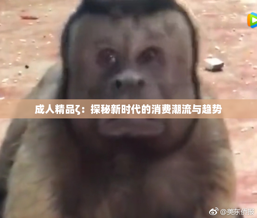 成人精品ζ：探秘新时代的消费潮流与趋势