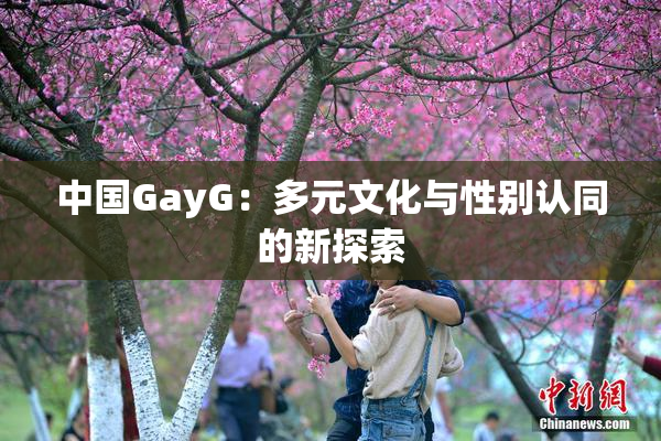 中国GayG：多元文化与性别认同的新探索