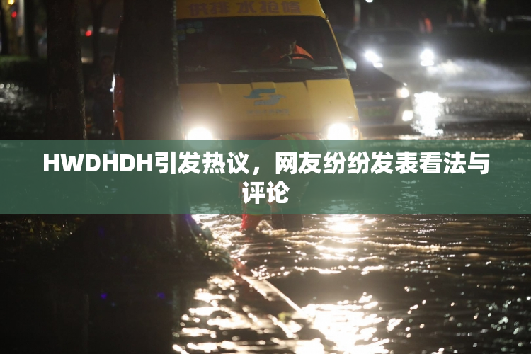 HWDHDH引发热议，网友纷纷发表看法与评论