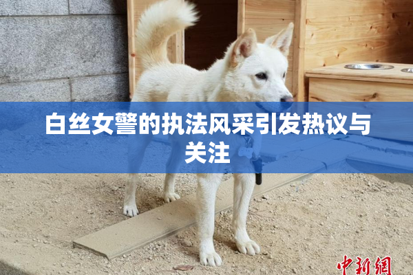 白丝女警的执法风采引发热议与关注