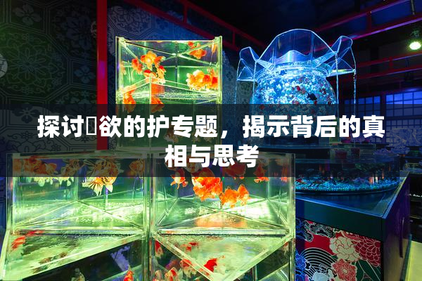 探讨婬欲的护专题，揭示背后的真相与思考