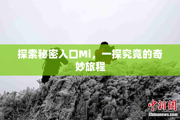 探索秘密入口Mi，一探究竟的奇妙旅程