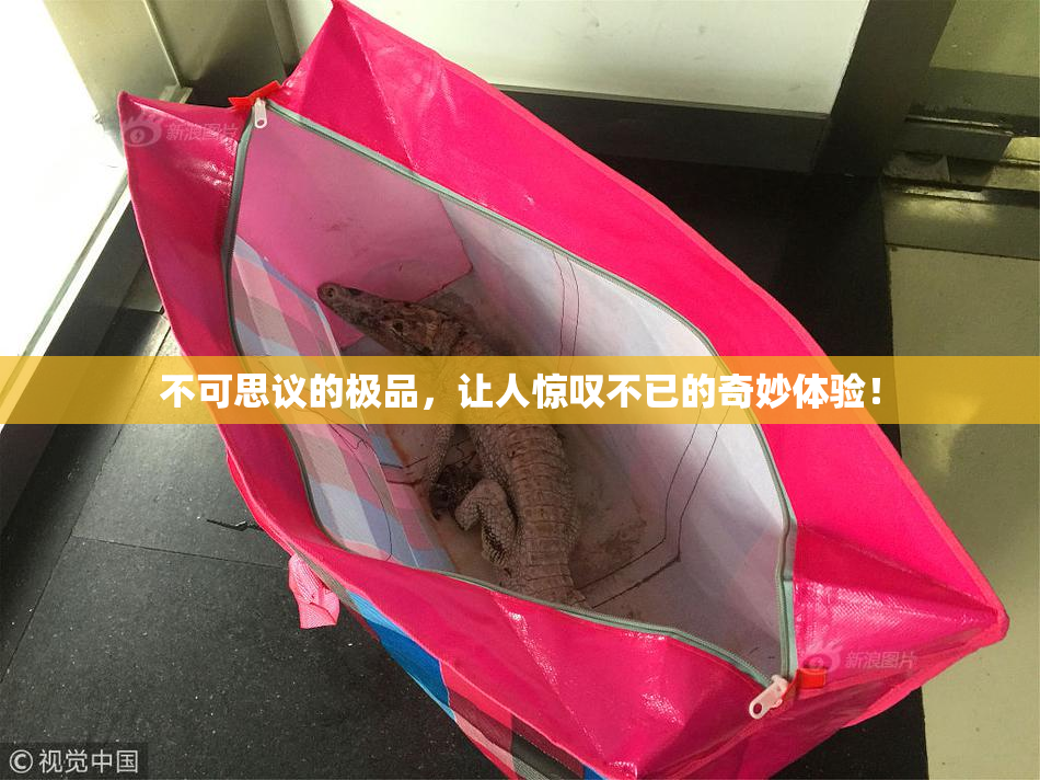 不可思议的极品，让人惊叹不已的奇妙体验！
