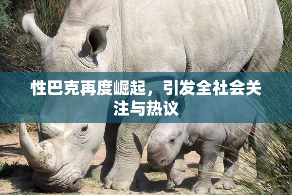 性巴克再度崛起，引发全社会关注与热议