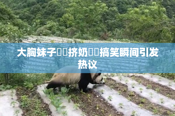 大胸妹子❌‌挤奶❌‌搞笑瞬间引发热议