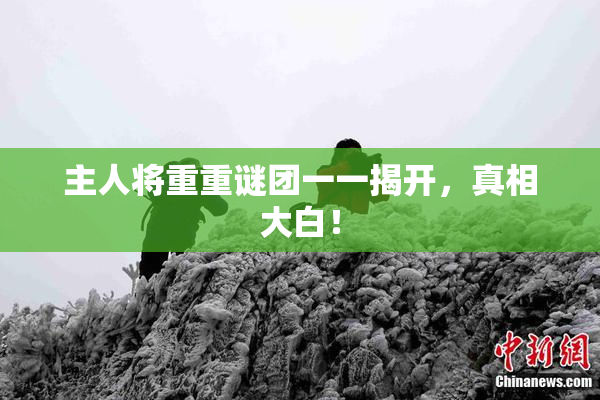 主人将重重谜团一一揭开，真相大白！