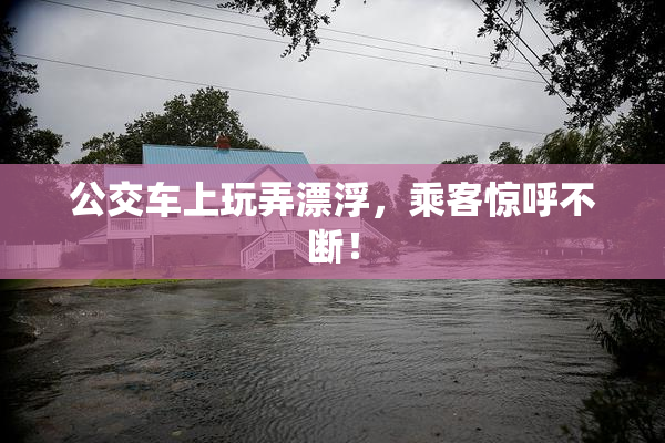 公交车上玩弄漂浮，乘客惊呼不断！