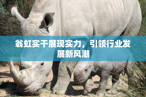 翁虹实干展现实力，引领行业发展新风潮